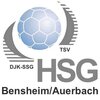 HSG_Bensheim___Auerbach